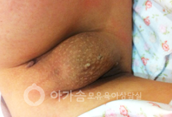 부유방 대표 사진